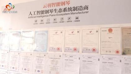 銀發(fā)創(chuàng)業(yè)傳奇 傾盡家產(chǎn)鑄琴魂，兩年破兩億的跨界逆襲