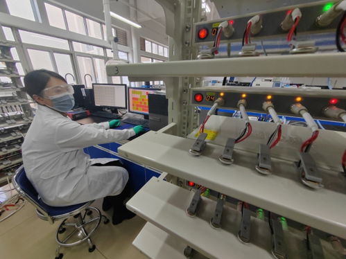 中國(guó)首創(chuàng)！洛陽牡丹殼變廢為寶，開啟鈉電池負(fù)極材料新紀(jì)元